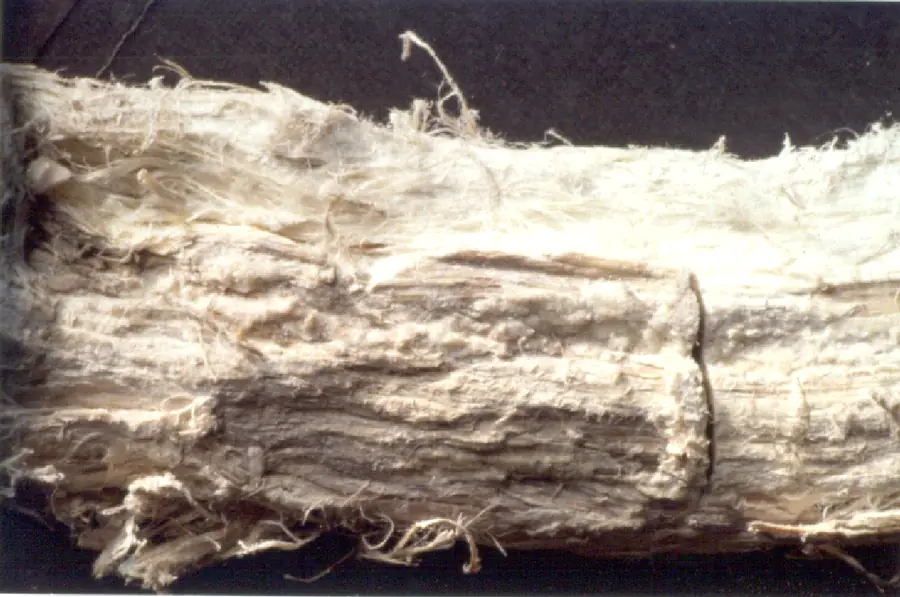 AMIANTO BIANCO, SERPENTINO