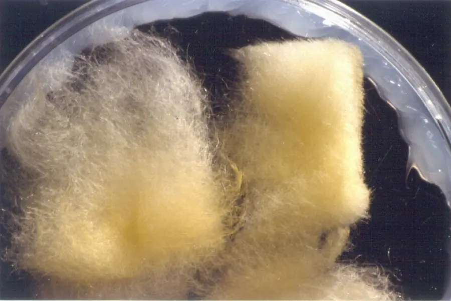 FIBERGLASS,G LASSWOOL