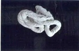 CORDA, CORDONE, TRECCIA, FILO, FETTUCCIA, BADERNA
