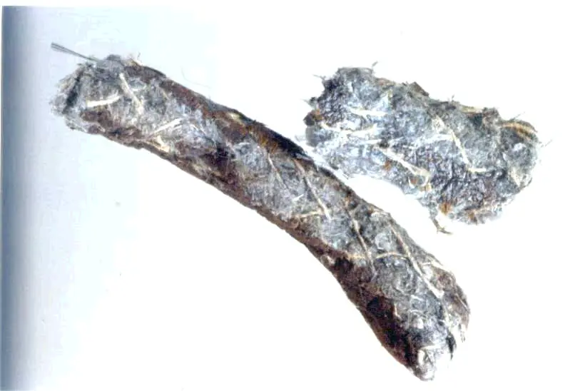 CORDA, CORDONE, TRECCIA, FILO, FETTUCCIA, BADERNA