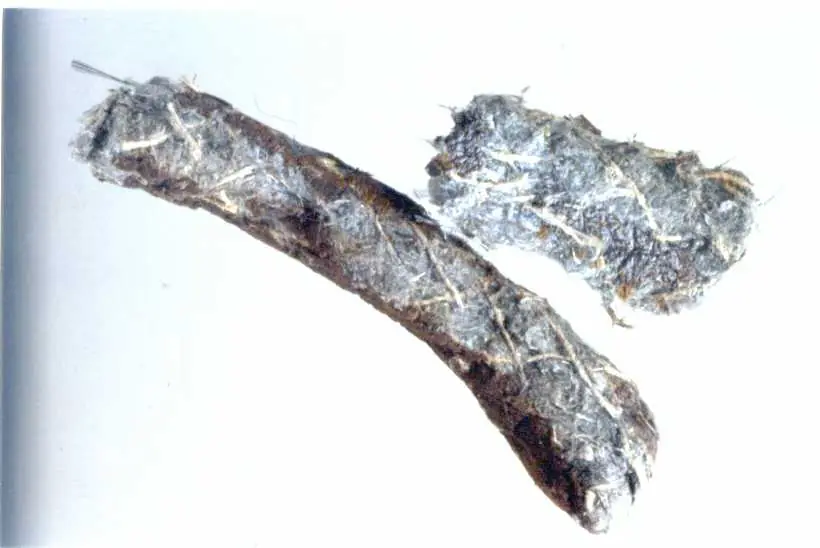 CORDA, CORDONE, TRECCIA, FILO, FETTUCCIA, BADERNA