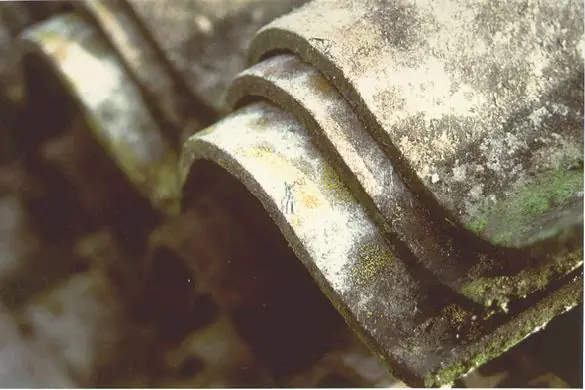 Piastrelle e rivestimenti vinilici per pavimenti