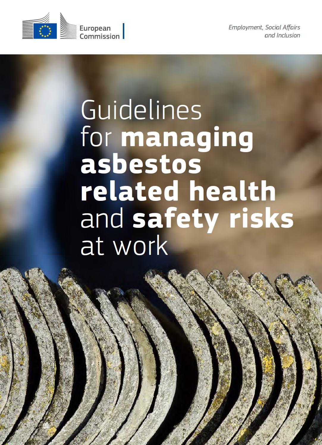 asbestosguide2025 | Sportello Amianto Nazionale